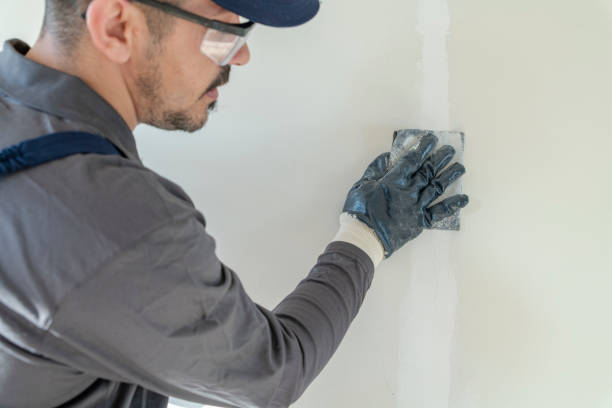Environmental Consulting for Mold Prevention in New London, OH