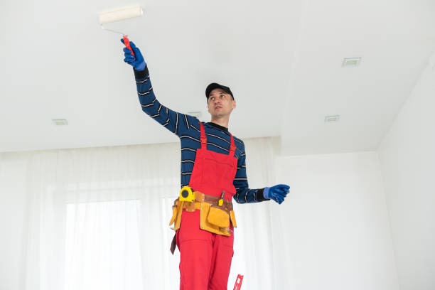 Best Environmental Consulting for Mold Prevention  in New London, OH